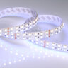 Светодиодная лента RT 2-5000 24V RGB-Day 2x2 (5060, 720 LED, LUX) (Arlight, 32 Вт/м, IP20) - фото 2