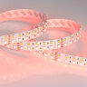 Светодиодная лента RT 2-5000 24V RGB-Day 2x2 (5060, 720 LED, LUX) (Arlight, 32 Вт/м, IP20) - фото 4