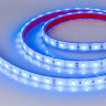 Светодиодная лента герметичная RTW-PFS-B60-13mm 24V Blue (14.4 W/m, IP68, 5060, 5m) (Arlight, 14.4 Вт/м, IP68) 036171 - фото