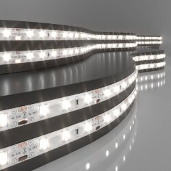 Светодиодная лента 24&amp;nbsp;В 4,8&amp;nbsp;Вт/м 60 Led/м 2835 IP65, дневной белый 4200K, 5 м 24V 4,8W 60Led 2835 IP65 дневной белый, 5м (052957)