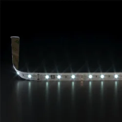 Светодиодная лента 12 В 4,8 Вт/м 60 Led/м 2835 IP65, холодный белый 6500К, 5 м Лента светодиодная 12V 4,8W 60Led 2835 IP65 холодный белый, 5м (040996)