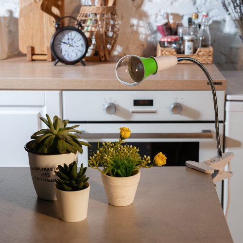 LED-A60-15W-SPSB-E27-CL PLP30GR Лампа светодиодная для растений, Форма A, прозрачная, Спектр для рассады и цветения, Картон, ТМ ФитоЛето - фото 3