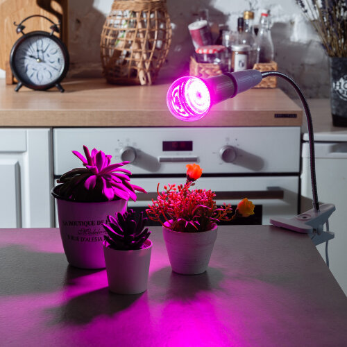 LED-A60-15W-SPSB-E27-CL PLP30GR Лампа светодиодная для растений, Форма A, прозрачная, Спектр для рассады и цветения, Картон, ТМ ФитоЛето - фото 2