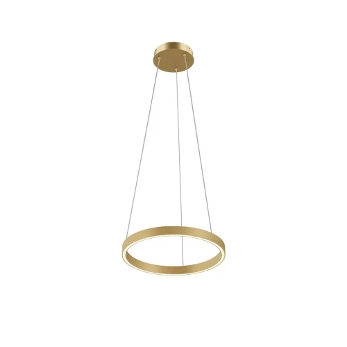 Подвесной светильник Rim 2600-3500К 24Вт (Латунь) - фото