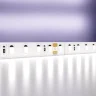 Светодиодная лента 24В 2835 9,6Вт/м 6000K 5м IP20 (Белый) 10144 - фото
