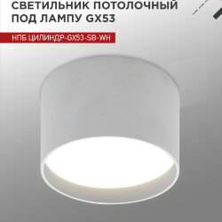 Светильник потолочный НПБ ЦИЛИНДР-GX53-SB-WH под лампу GX53 85x55мм белый IN HOME