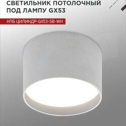 Светильник потолочный НПБ ЦИЛИНДР-GX53-SB-WH под лампу GX53 85x55мм белый IN HOME