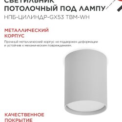Светильник потолочный НПБ-ЦИЛИНДР-GX53 TBM-WH 80х90мм белый IN HOME