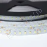 Светодиодная лента LUX class, 2835, 120led/m, White, 24V, Long, IP20, A53 - фото 2.