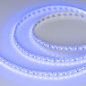 Светодиодная лента RT-GM288-12mm 24V RGBW-MIX (19.2 W/m, IP20, 3838/2216, 5m) (Arlight, RGB-ССТ, RGB-MIX, RGB-White MIX) 028258(2) - фото 5