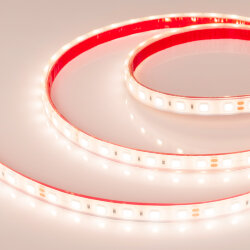 Светодиодная лента герметичная RTW-PFS-B60-13mm 24V Warm3000 (14.4 W/m, IP68, 5060, 5m) (Arlight)