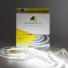 Светодиодная лента Class Premium, 2835, 128 led/m, white, 24V, IP33, RN07 - фото I