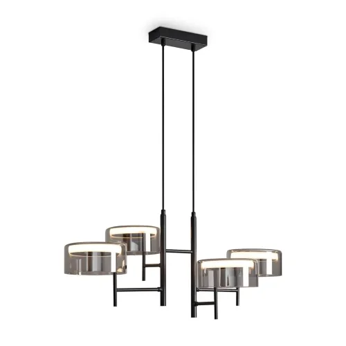 Подвесной светильник Freya FR5536PL-L14B (Черный) - фото