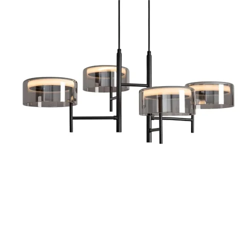 Подвесной светильник Freya FR5536PL-L14B (Черный) - фото 5