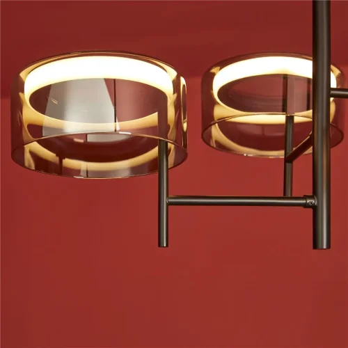 Подвесной светильник Freya FR5536PL-L14B (Черный) - фото 15