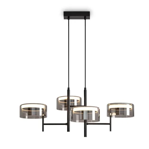 Подвесной светильник Freya FR5536PL-L14B (Черный) - фото 6