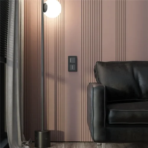 Рамка из акрила на 2 поста Acrylic черный W0022708 - фото 3