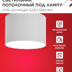 Светильник потолочный НПБ-ЦИЛИНДР-GX53 SBM-WH 80х55м белый IN HOME