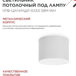 Светильник потолочный НПБ-ЦИЛИНДР-GX53 SBM-WH 80х55м белый IN HOME