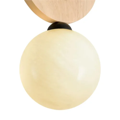 Подвесной светильник Freya FR5593PL-01B1 (Черный) - фото 4