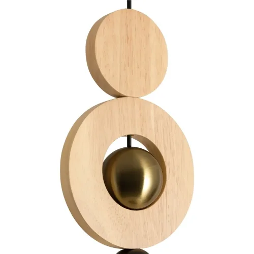 Подвесной светильник Freya FR5593PL-01B1 (Черный) - фото 6