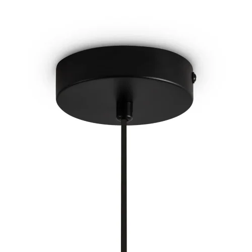 Подвесной светильник Freya FR5593PL-01B1 (Черный) - фото 7