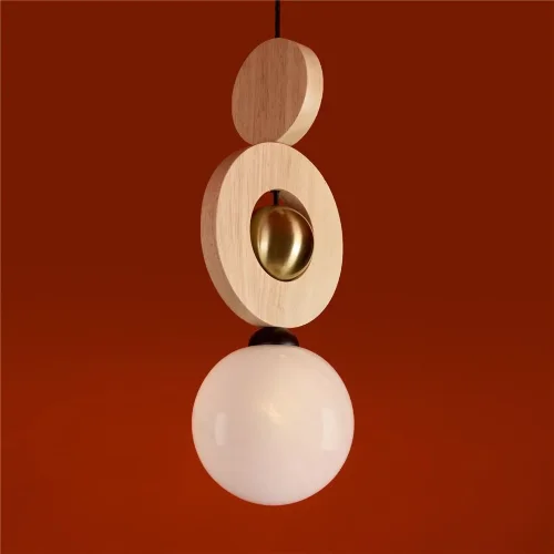 Подвесной светильник Freya FR5593PL-01B1 (Черный) - фото 3