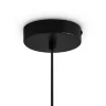 Подвесной светильник Freya FR5593PL-01B1 (Черный) - фото 13