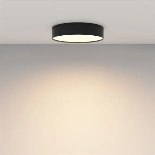 Потолочный светильник Zon 3000K 36W 120° (Черный) - фото 11