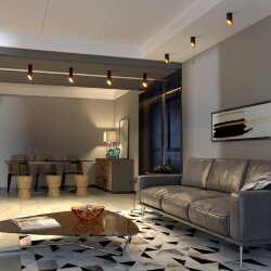 Накладной потолочный светильник DLN114 GU10