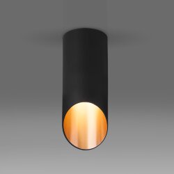 Накладной потолочный светильник DLN114 GU10