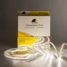 Светодиодная лента Class Premium, 2835, 128 led/m, day white, 24V, IP33, RN08 - фото I