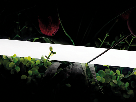 Лента 360 ° светодиодная неоновая 2835, 360 LED/м, 16 Вт/м, 24В , IP66, Цвет: Теплый белый, SWG-2360-24-WW-66 - фото