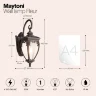 Настенный светильник (бра) Флер / Fleur E27х1 60Вт IP 44 (Бронза Антик) O414WL-01BZ - фото 11