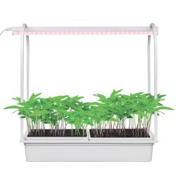 ULT-P54-10W-SPLE IP20 WHITE Набор Минисад, светильник для растений светодиодный с подставкой, Спектр для фотосинтеза, TM Uniel