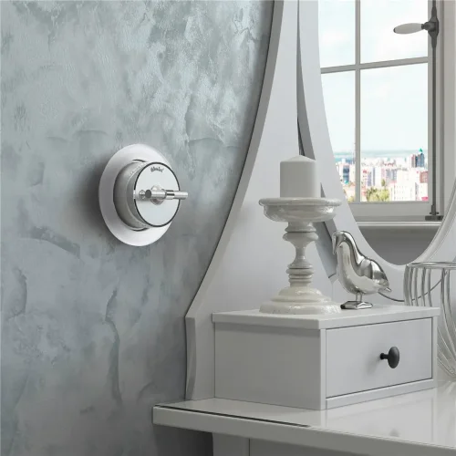 Переключатель/выключатель одноклавишный Vintage серебро матовый/хром W5812054 - фото 4