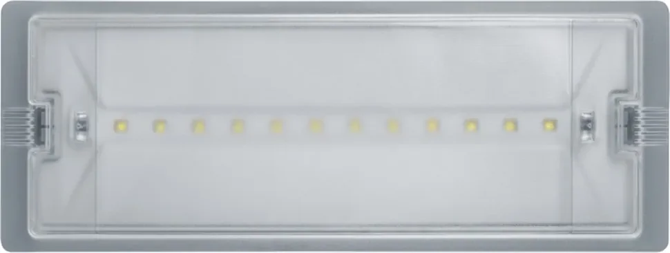 Светильник светодиодный 95 290 NEF-19 6Вт IP65 100лм 220-240В аккум. LiFePO4 600mAh аварийно-эвакуационный Navigator 95290 - фото