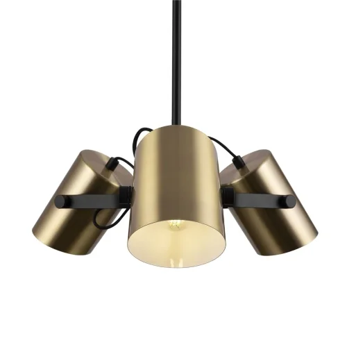 Подвесной светильник Freya FR4004PL-03BBS (Черный) - фото 3