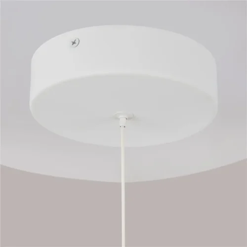 Подвесной светильник Ray 1x10Вт 3000K 360° (Белый) - фото 7