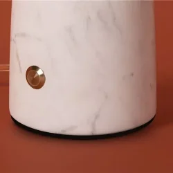 Настольный светильник Freya FR2054TL-01BS3 (Латунь)