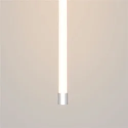 Торцевая металлическая заглушка Nemo D25 серебро (Серебро)