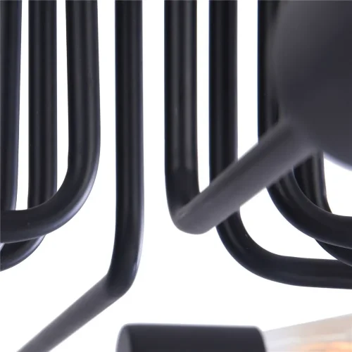 Потолочный светильник Gilbert E27х8 (Черный) - фото 3