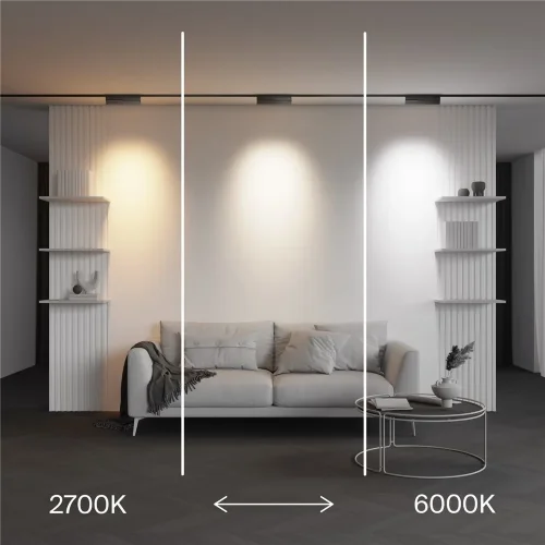 Трековый светильник Точки поворотный / Points Rot Exility X 2700-6000K 12Вт 40° Dim Smart Zigbee (Черный) TR242-4-12WTW-DSZ-B - фото 9