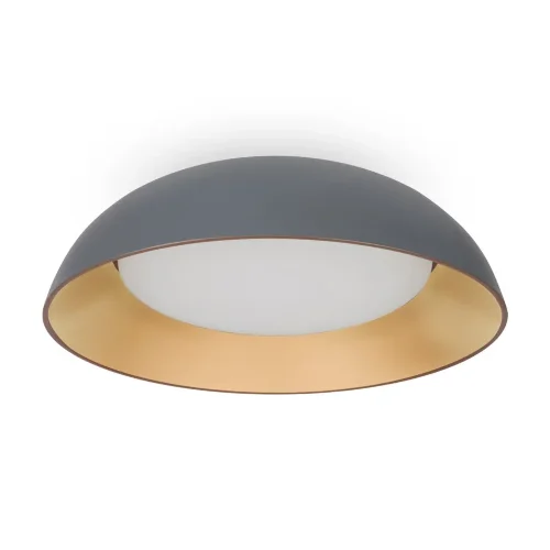 Потолочный светильник FR5277CL-L72GR Лунный свет / Moonlight 62 Вт LED с пультом ДУ (Серый) FR5277CL-L72GR - фото 2