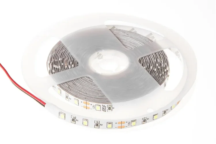 Лента светодиодная ELF 300SMD диодов (2835), 24В, 5м, белый дневной 5000-5500К - фото 2