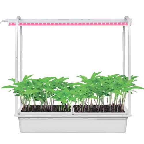ULT-P54-10W-SPSB IP20 WHITE Набор Минисад, светильник для растений светодиодный с подставкой, Спектр для рассады и цветения, TM Uniel - фото 2