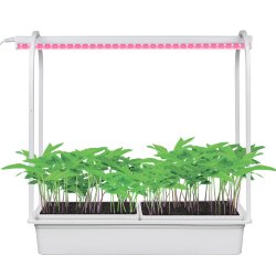 ULT-P54-10W-SPSB IP20 WHITE Набор Минисад, светильник для растений светодиодный с подставкой, Спектр для рассады и цветения, TM Uniel