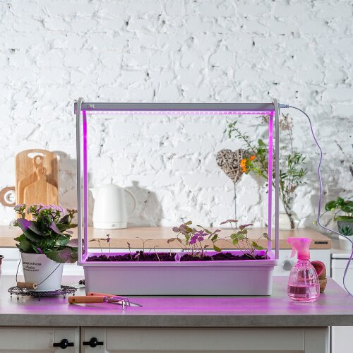 ULT-P54-10W-SPSB IP20 WHITE Набор Минисад, светильник для растений светодиодный с подставкой, Спектр для рассады и цветения, TM Uniel - фото 6