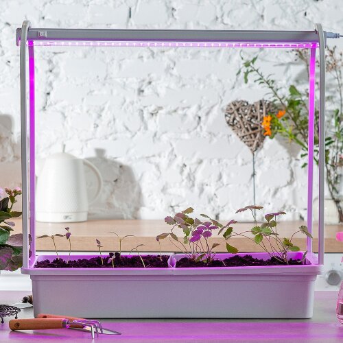 ULT-P54-10W-SPSB IP20 WHITE Набор Минисад, светильник для растений светодиодный с подставкой, Спектр для рассады и цветения, TM Uniel - фото 7