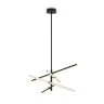 Подвесной светильник Freya FR5557PL-L32B (Черный) - фото